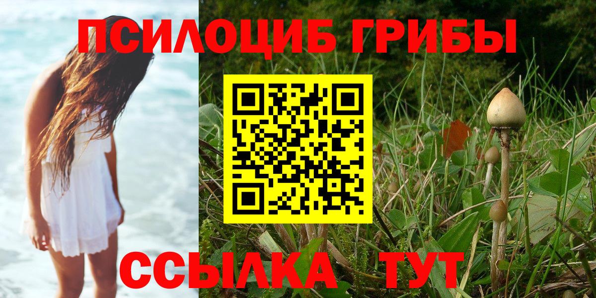 Псилоцибиновые грибы Magic Shrooms  Псилоцибиновые грибы GOLDEN TEACHER  Вход с VPN  Всеволожск 